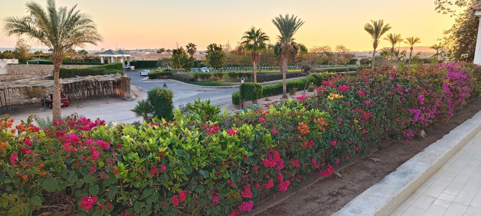 Eden Rock Hotel Namaa Bay Sharm el Sheikh Esterno foto